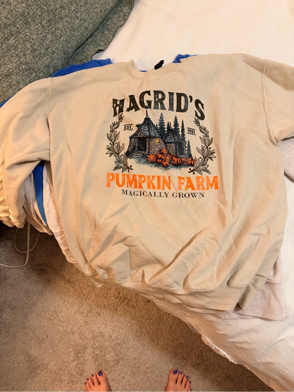 Beige Harry Potter Fall Graphic Sweatshirt